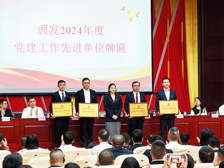 三正房地產黨支部：榮獲“2024年度塘廈鎮黨建工作先進單位”稱號