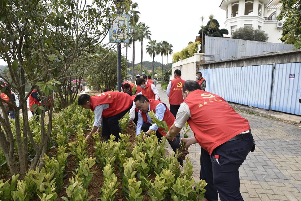 植樹節.jpg 植樹節.jpg